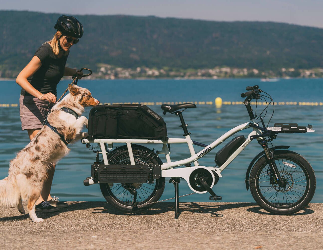 Yuba Bikes FastRack WoofTop Lake|||||Yuba Bikes Wooftop